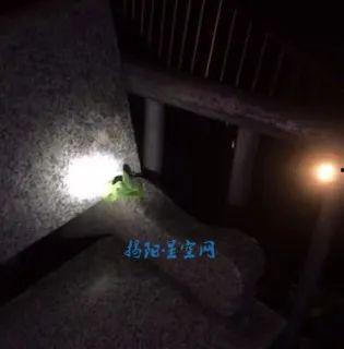 水族毒蛇爆料视频大全,惊心动魄的爆料视频大全  第1张